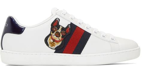 gucci sneaker dog|Gucci sneaker for sale.